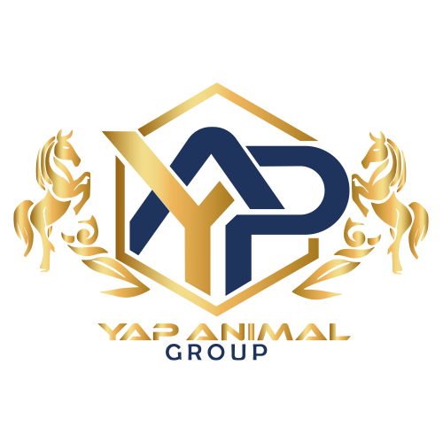 Logo Animal