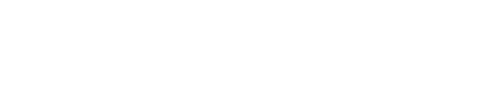 YAP Logo